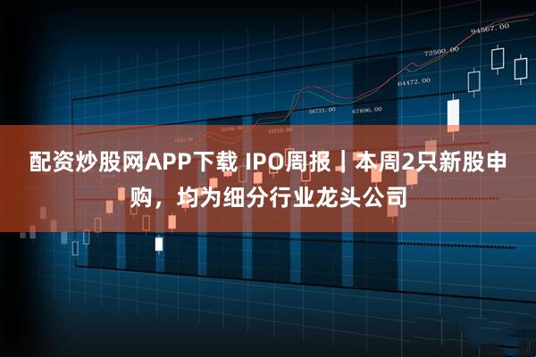 配资炒股网APP下载 IPO周报｜本周2只新股申购，均为细分行业龙头公司